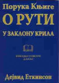 Poruka knjige o Ruti