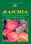 Kajsija