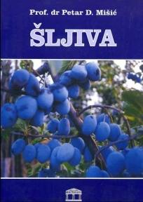 Šljiva