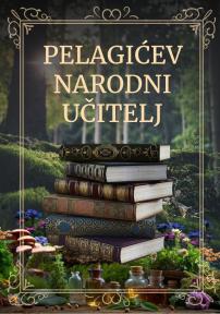 Pelagićev narodni učitelj