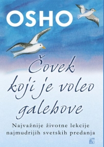 Čovek koji je voleo galebove