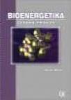Bioenergetika osnovni principi