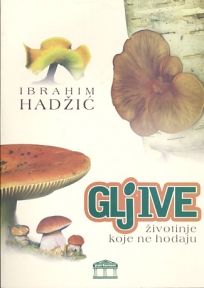 Gljive-Životinje koje ne hodaju