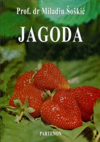 Jagoda