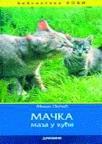 Mačka, maza u kući