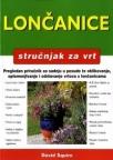 Lončanice Lončanice