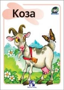 Koza