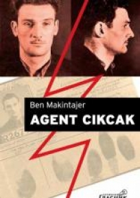 Agent Cicak