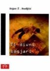 Ti divni sanjari