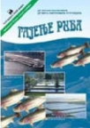 Gajenje riba Gajenje riba