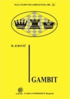 Gambit – MŠB 24 Gambit – MŠB 24