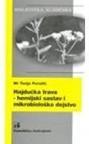 Hajdučka trava - hemijski sastav i mikrobiološko dejstvo Hajdučka trava - hemijski sastav i mikrobiološko dejstvo