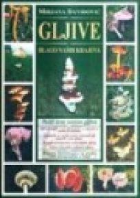 Gljive, blago naših krajeva