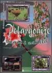 Pelargonije