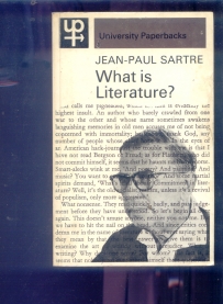 What is literature