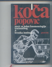 Nacrt za jednu fenomenologiju iracionalnog