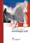 Morfologija zubi Morfologija zubi