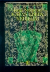 KAKVA LIJEPA NEDJELJA