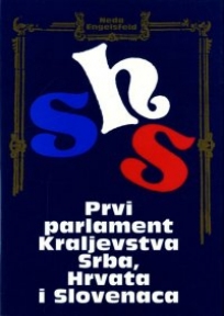 Prvi parlament Kraljevstva Srba, Hrvata i Slovenaca