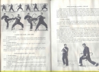 Kun-Fu Wu-Su