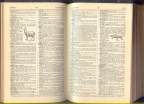 Dictionary of english language (Oldhams)