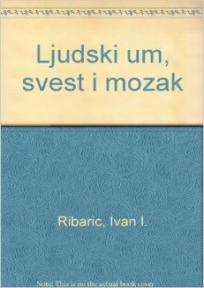 Ljudski um, svest i mozak