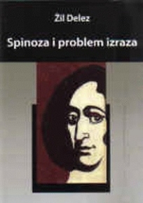 Spinoza i problem izraza