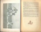 Naš sport 1948