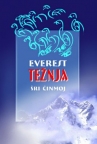 Everest težnja