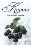 Kupina Kupina