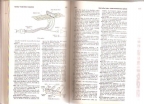 modern dictionary of electronics