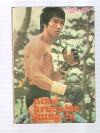 Ninja Bruce Lee Kung  Fu