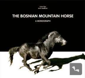 Bosanski brdski konj