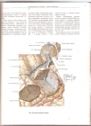  Atlas anatomije coveka 2 (na ruskom) 