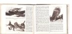 War planes of the SWW BOMBERS volume 10