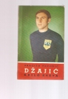 Džajić krilo sveta 
