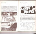 Batik for Beginners (How to Do it)