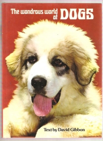 The wondrous world of Dogs 