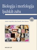 Biologija i morfologija ljudskih zuba