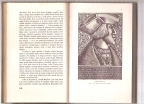 Magellan