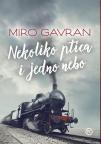 Nekoliko ptica i jedno nebo Nekoliko ptica i jedno nebo