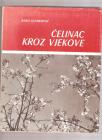 Ćelinac kroz vjekove