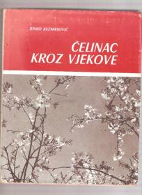 Ćelinac kroz vjekove