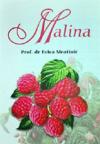 Malina Malina