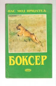 Bokser pas moj prijatelj 