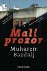 Mali prozor