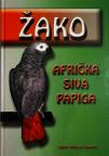 Žako - afrička siva papiga