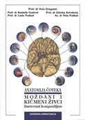 Anatomija čoveka: Moždani i kičmeni živci (ilustrovani kompendijum)