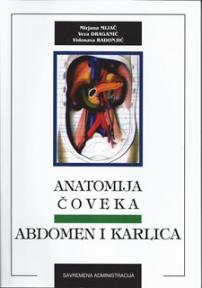 Anatomija čoveka: abdomen i karlica