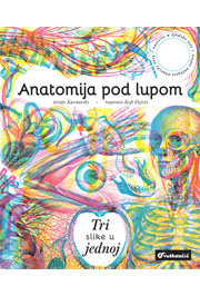 Anatomija pod lupom